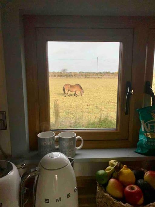 The Hut@Trefechan Wen - Coastal Coziness! Goodwick Luaran gambar