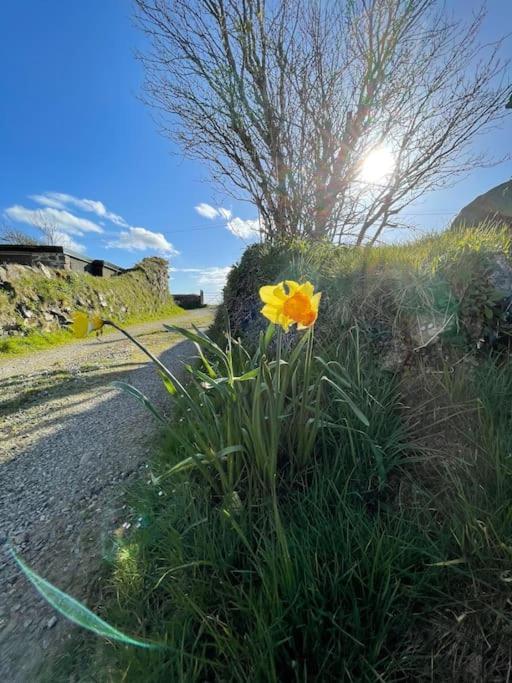The Hut@Trefechan Wen - Coastal Coziness! Goodwick Luaran gambar